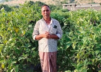 ग्राफ्टेड बैंगन से बदली खेती की तस्वीर – खरसिया के किसान मुरलीधर साहू ने