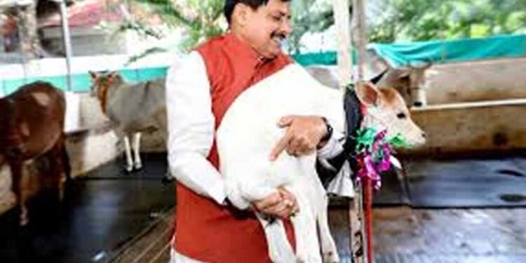 पशुपालकों की समृद्धि की ओर बढ़ रहा मध्यप्रदेश: मुख्यमंत्री डॉ. यादव