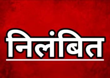 फसल गिरदावरी में कोताही, पटवारी निलंबित—कलेक्टर ने लिया कड़ा कदम