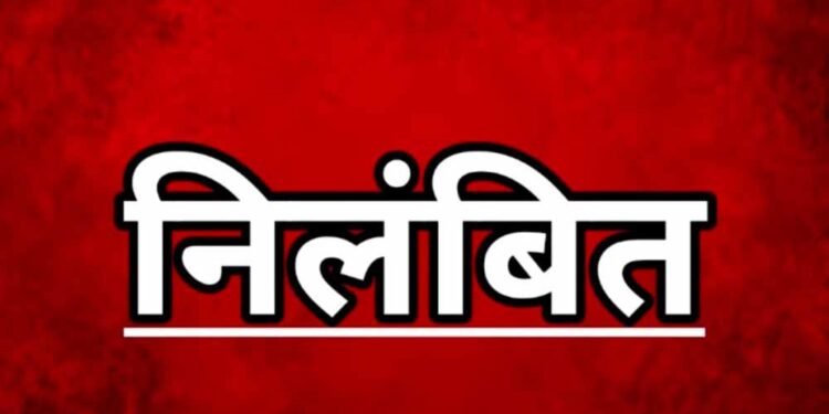 फसल गिरदावरी में कोताही, पटवारी निलंबित—कलेक्टर ने लिया कड़ा कदम