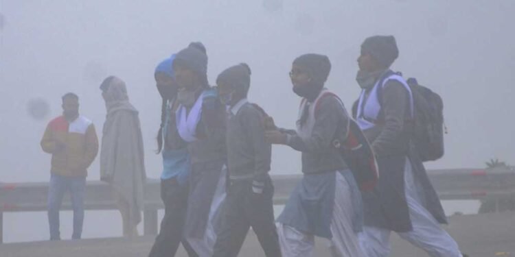 मध्यप्रदेश में दिसंबर की बड़ी छुट्टियां घोषित, जानें कब बंद रहेंगे स्कूल – पूरी लिस्ट जारी