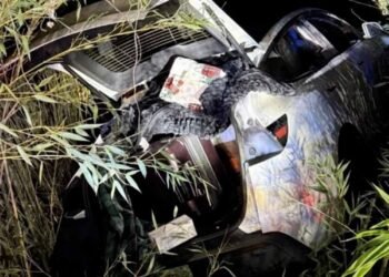 कौन हैं विक्रम बेरी? टेस्ला फैक्ट्री में आग लगाने की कोशिश के आरोप में भारतीय मूल का करोड़पति गिरफ्तार