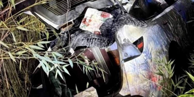 कौन हैं विक्रम बेरी? टेस्ला फैक्ट्री में आग लगाने की कोशिश के आरोप में भारतीय मूल का करोड़पति गिरफ्तार