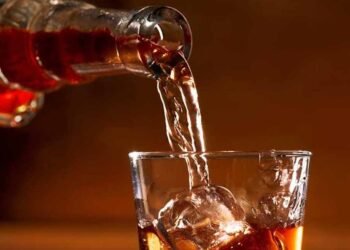 भोपाल में नए साल के जश्न के लिए ‘होम बार’ का लाइसेंस सिर्फ ₹500 में, जानें नियम और शर्तें