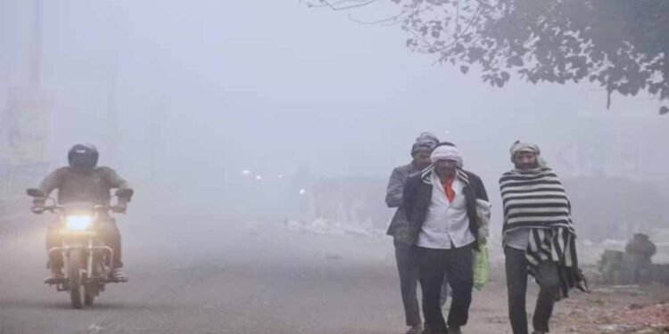 छत्तीसगढ़ में बढ़ेगी सर्दी, अगले हफ्ते तापमान में बड़ी गिरावट का अनुमान