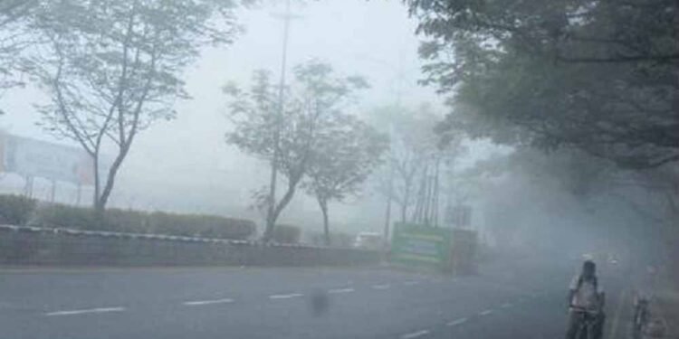 छत्तीसगढ़ में बढ़ी ठंड की दस्तक: अंबिकापुर का तापमान 4.6°C, शीत लहर की चेतावनी