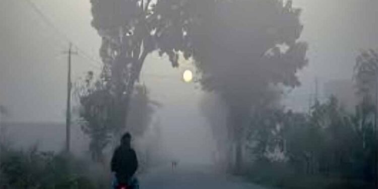 उत्तर भारत में कड़ाके की ठंड! दिल्ली में गिरा पारा, IMD ने जारी किया 48 घंटे का अलर्ट