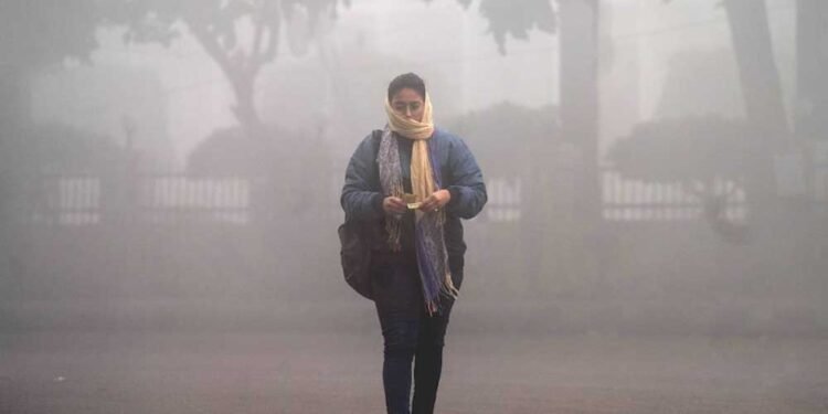 एमपी में कोहरे और ठंड का कहर, खजुराहो और रीवा में विजिबिलिटी घटकर 20 मीटर