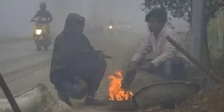 MP Weather Report: कड़ाके की ठंड और कोहरे का असर, रीवा-सतना में दृश्यता 50 मीटर, भोपाल में शीतलहर