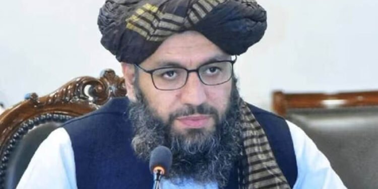 नूर अहमद नूर की भारत में नियुक्ति: अफगानिस्तान-भारत संबंधों के नए अध्याय की शुरुआत