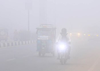 MP में सर्दी का कहर, 25 शहरों में पारा 10° से नीचे, खजुराहो में 3.6°; 15 जिलों में कोहरा, ग्वालियर-चंबल में दिन भी ठिठुरे