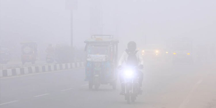 MP में सर्दी का कहर, 25 शहरों में पारा 10° से नीचे, खजुराहो में 3.6°; 15 जिलों में कोहरा, ग्वालियर-चंबल में दिन भी ठिठुरे