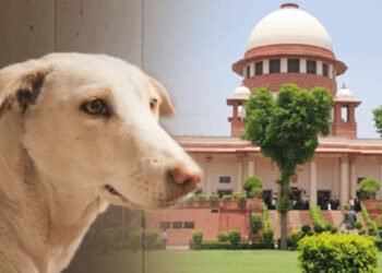 कुत्ते के काटने से मौत पर राज्य सरकार को सुप्रीम कोर्ट का आदेश, देना होगा भारी मुआवजा