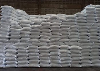 सरकार ने वित्त वर्ष 2024-25 में किसानों को उपलब्ध कराए रिकॉर्ड 834.64 लाख टन उर्वरक