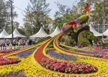 वाइब्रेंट की थीम पर होगा राज्य स्तरीय पुष्प महोत्सव, प्रदेश में उत्पादित फूलों की विभिन्न किस्मों का होगा प्रदर्शन
