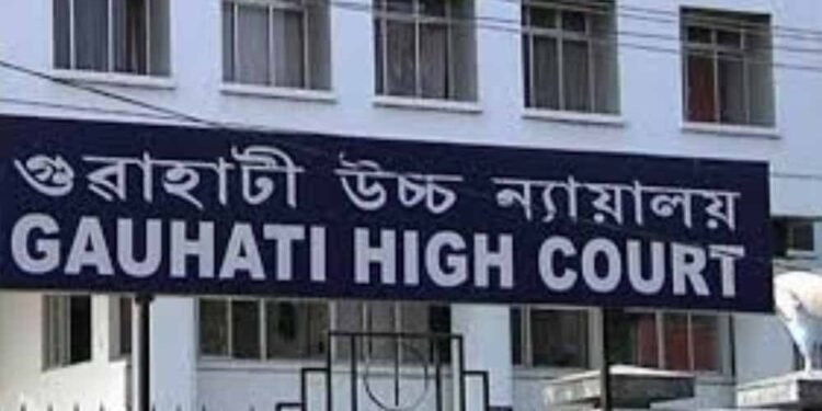 NH निर्माण से खेतों को नुकसान, हाईकोर्ट ने दिया 1.16 करोड़ का मुआवजा आदेश