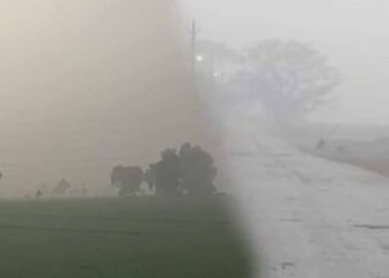 एमपी के 30 जिलों में बारिश, 8 जिलों में ओले गिरे; फसलों को नुकसान, 14 जिलों में आज अलर्ट