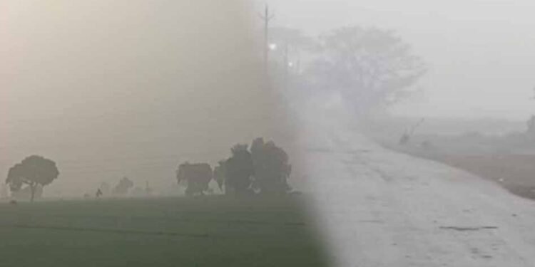 एमपी के 30 जिलों में बारिश, 8 जिलों में ओले गिरे; फसलों को नुकसान, 14 जिलों में आज अलर्ट