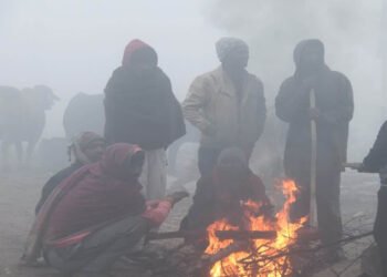 मध्यप्रदेश में नए साल के पहले दिन मौसम ने ली करवट, 24 घंटे बाद कड़ाके की सर्दी, पचमढ़ी और कल्याणपुर सबसे ठंडे