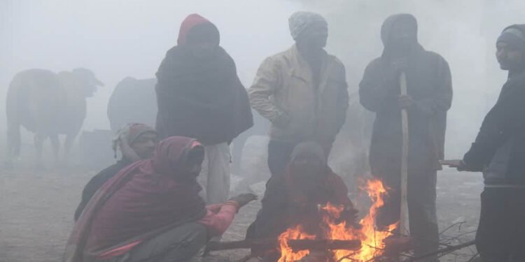 मध्यप्रदेश में नए साल के पहले दिन मौसम ने ली करवट, 24 घंटे बाद कड़ाके की सर्दी, पचमढ़ी और कल्याणपुर सबसे ठंडे