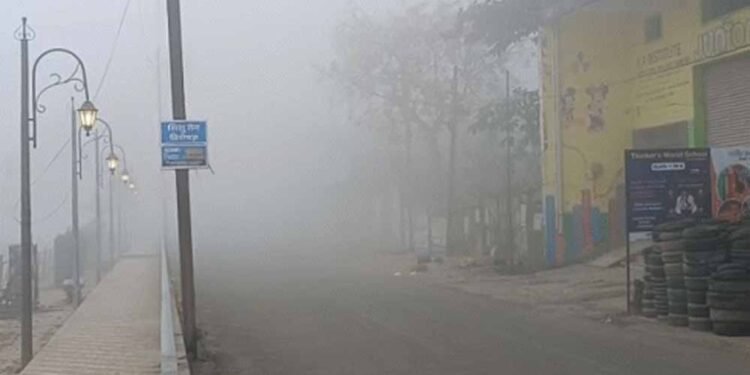 छत्तीसगढ़ में कोहरे का अलर्ट: रायपुर-पेंड्रा-मैनपाट में धुंध, न्यूनतम तापमान 3°C तक गिर सकता है