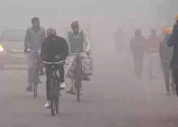 MP के 19 शहरों में कड़ाके की ठंड, राजगढ़ सबसे ठंडा: तापमान 3°C, सतना में दृश्यता सिर्फ 50 मीटर