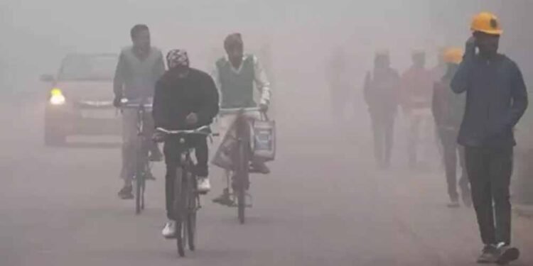 MP के 19 शहरों में कड़ाके की ठंड, राजगढ़ सबसे ठंडा: तापमान 3°C, सतना में दृश्यता सिर्फ 50 मीटर