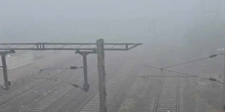 MP में कड़ाके की ठंड: शहडोल का कल्याणपुर 2.7 डिग्री तापमान के साथ सबसे ठंडा, हालात और बिगड़ने का अनुमान