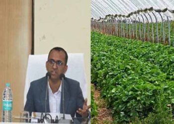 कलेक्टर वसंत ने की कृषि, उद्यानिकी, पशुधन विकास की समीक्षा, उद्यानिकी योजनाओं का करें प्रभावी क्रियान्वयन