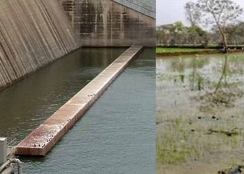 रबी फसल के लिए जलाशय से छोड़ा गया पानी, महासमुंद के किसानों को मिलेगी राहत