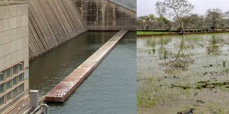 रबी फसल के लिए जलाशय से छोड़ा गया पानी, महासमुंद के किसानों को मिलेगी राहत