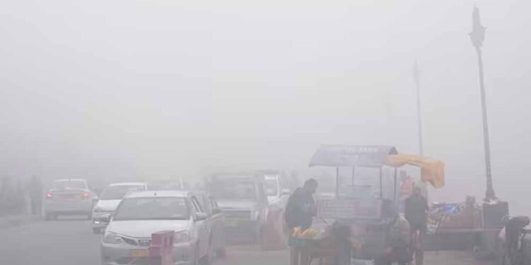 पारा @2.9 डिग्री, खूब ठिठुर रही दिल्ली, शीतलहर का येलो अलर्ट