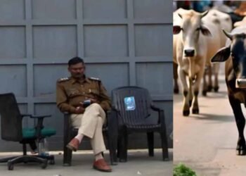 गोमांस को भैंस का सर्टिफाइड करता है डॉ. बीपी गौर, अत्याधुनिक पैकेजिंग कर दुबई सहित खाड़ी देशों में हो रहा सप्लाई