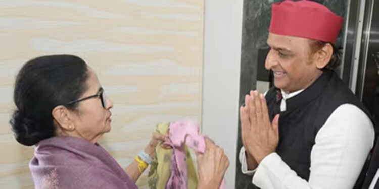 ‘दीदी’ की चाल, BJP पर हमला; ममता-मुलाकात से अखिलेश का डबल निशाना, कांग्रेस में बढ़ी घबराहट