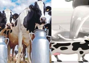 प्रदेश में बनेगी पहली सहकारी क्षेत्र की अत्याधुनिक राज्य स्तरीय डेयरी परीक्षण प्रयोगशाला