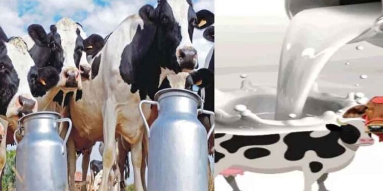 प्रदेश में बनेगी पहली सहकारी क्षेत्र की अत्याधुनिक राज्य स्तरीय डेयरी परीक्षण प्रयोगशाला