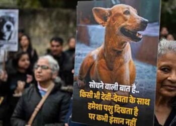 कुत्ते पर पत्थरबाज़ी का मामला सुप्रीम कोर्ट पहुँचा, पीड़िता ने किया डॉग का पक्ष में बचाव