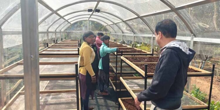 जशपुर में हरित तकनीक की पहल: DST प्रायोजित परियोजना से स्थापित हुआ सोलर टनल ड्रायर