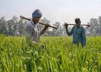 PM-KISAN पर बड़ा ऐलान संभव! बजट 2026 में बढ़ सकती है किसान सम्मान निधि, जानें कितनी होगी नई किश्त