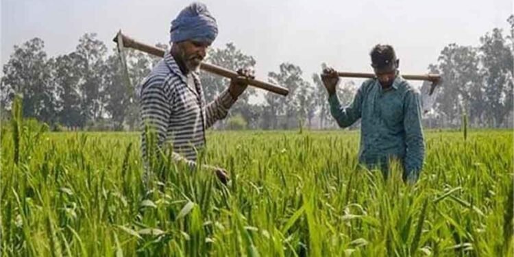 PM-KISAN पर बड़ा ऐलान संभव! बजट 2026 में बढ़ सकती है किसान सम्मान निधि, जानें कितनी होगी नई किश्त
