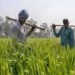 PM-KISAN पर बड़ा ऐलान संभव! बजट 2026 में बढ़ सकती है किसान सम्मान निधि, जानें कितनी होगी नई किश्त
