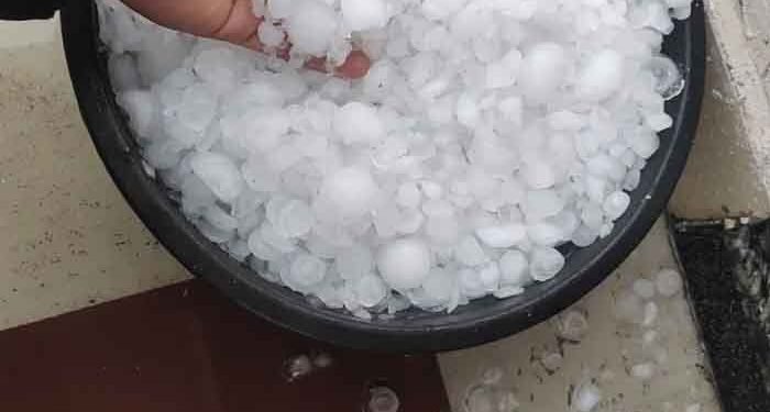 MP में ओले गिरे; 28 जिलों के लिए बारिश-आंधी का अलर्ट