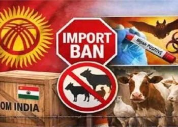 किर्गिस्तान का सख्त फैसला: भारत से पशु उत्पादों पर बैन, बताया बड़ा स्वास्थ्य खतरा