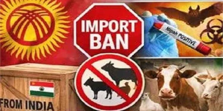 किर्गिस्तान का सख्त फैसला: भारत से पशु उत्पादों पर बैन, बताया बड़ा स्वास्थ्य खतरा