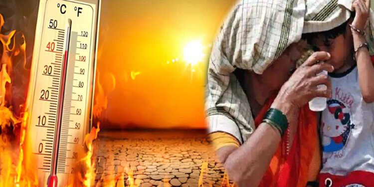 ऑक्सफोर्ड की चेतावनी: भारत में इतनी भीषण गर्मी कि उबल सकती है धरती