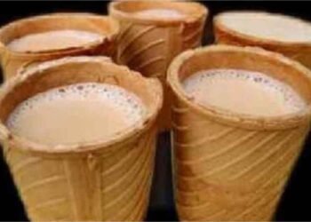 पर्यावरण के लिए नई पहल: कलेक्टर का अनोखा प्लान, अब पीने के बाद कप भी खा सकेंगे