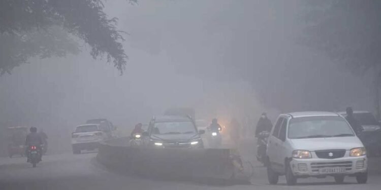 मप्र में मौसम का अलर्ट: ग्वालियर-दतिया और रीवा में घना कोहरा, विजिबिलिटी सिर्फ 50 मीटर; 8 जिलों में बारिश