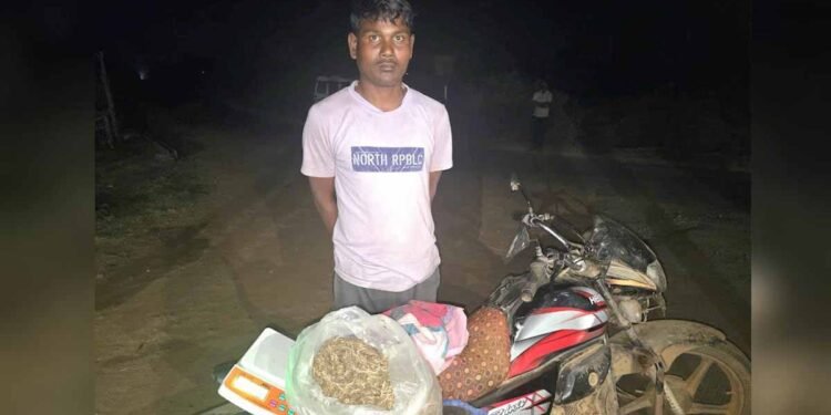 महाराष्ट्र से मोटरसाइकिल पर गांजा ला रहा तस्कर गिरफ्तार, गांव ले जाते समय पुलिस ने दबोचा