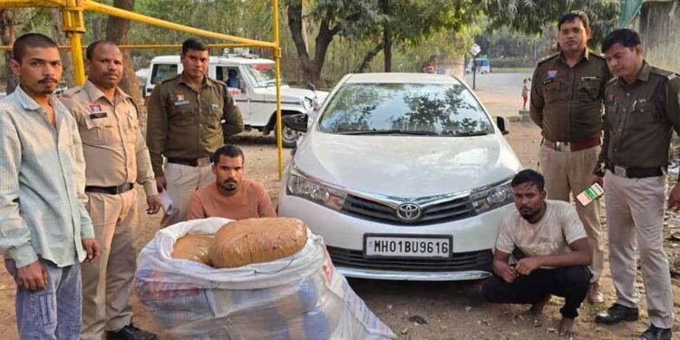 नशे के नेटवर्क पर करारा वार: 50 किलो गांजा जब्त, दो तस्कर गिरफ्तार