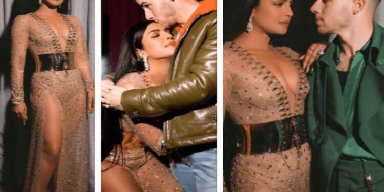 ‘मेरी शादी टूटने का इंतजार कर रहे थे लोग’, प्रियंका चोपड़ा का हेटर्स को करारा जवाब